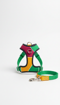 Contemporary color-block harness