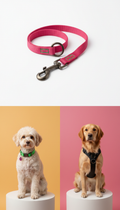 Urban hardware leash with bold accents